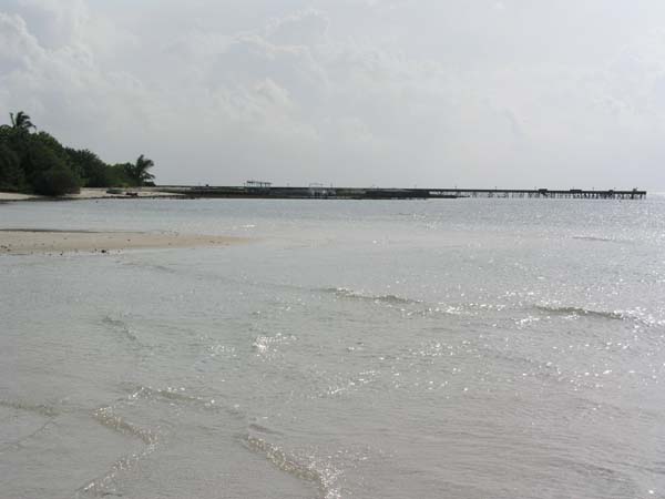 hel0079P3051272.jpg