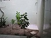 hel0048P3030845.jpg