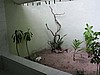 hel0049P3030846.jpg