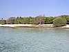 hel0058P3051247.jpg
