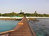 hel0068P3051186.jpg