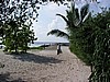 hel0077P3051280.jpg