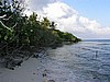 hel0081P3071905.jpg