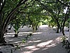 hel0114P3051212.jpg