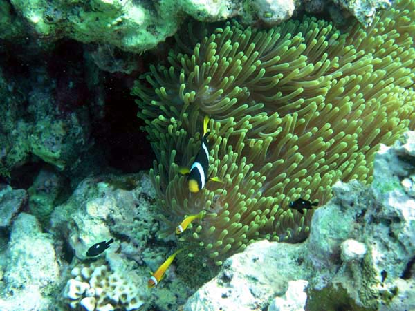 anP3122618.jpg