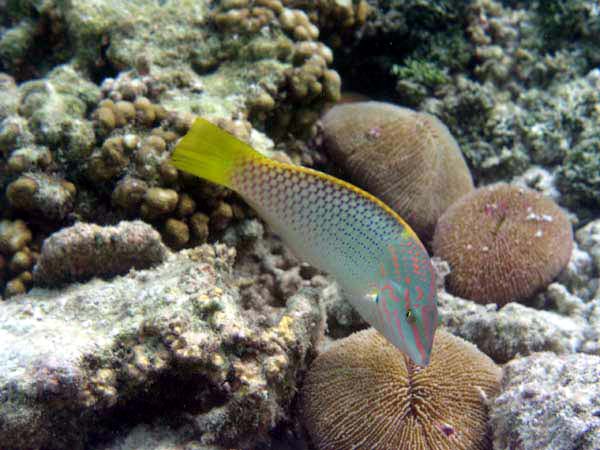 liP3143163.jpg