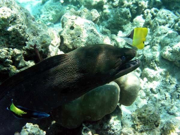 muP3082033.jpg