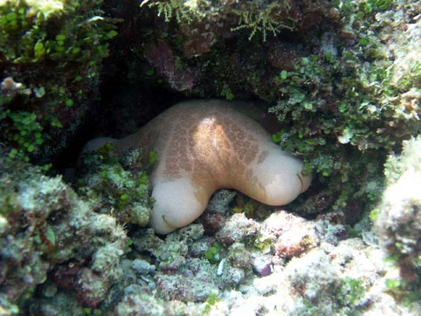 pfP3122635.jpg