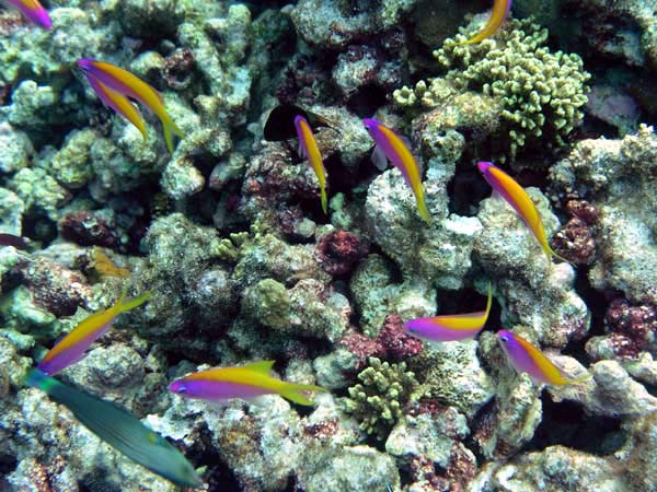 soP3133021.jpg