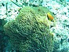 anP3081948.jpg