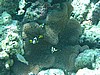 anP3081949.jpg