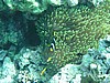 anP3122618.jpg