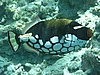 drP1012920.jpg