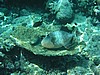 drP3071700.jpg