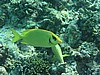 kanP3102313.jpg