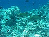 liP3071699.jpg