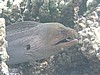 muP3143195.jpg