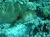naP3082098.jpg