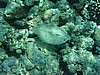 soP3081980.jpg