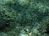 soP3081981.jpg