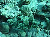 soP3082108.jpg