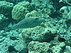 soP3112494.jpg