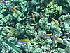 soP3133021.jpg