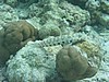 soP3143159.jpg