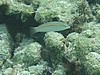 soP3143167.jpg