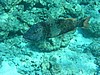 stP3061538.jpg