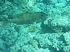 stP3122763.jpg