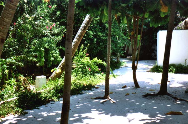 IHURU013.JPG