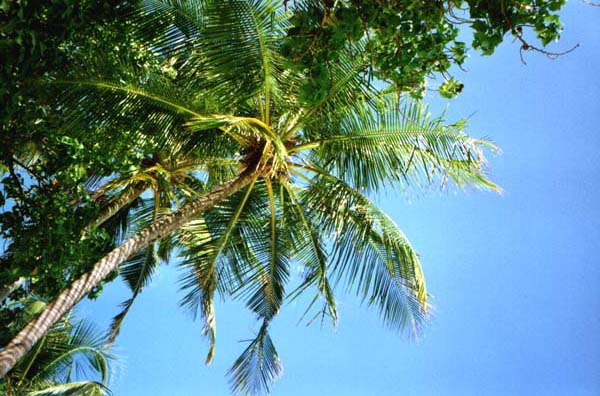 IHURU019.JPG
