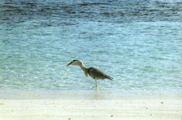 IHURU040.JPG