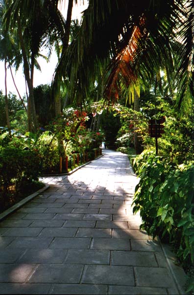 IHURU061.JPG