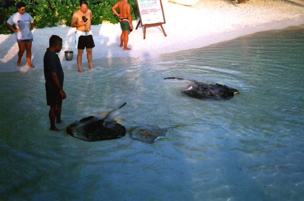 IHURU067.JPG