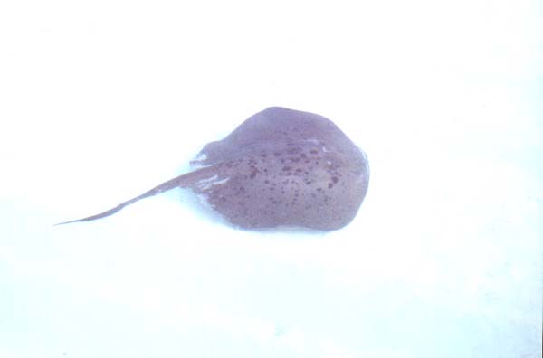 IHURU068.JPG