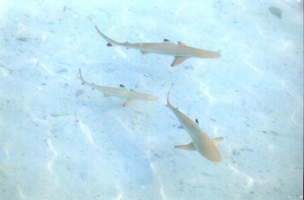 IHURU069.JPG