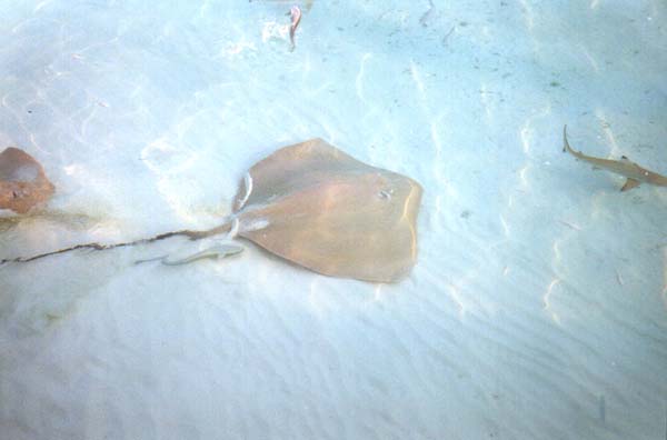 IHURU070.JPG