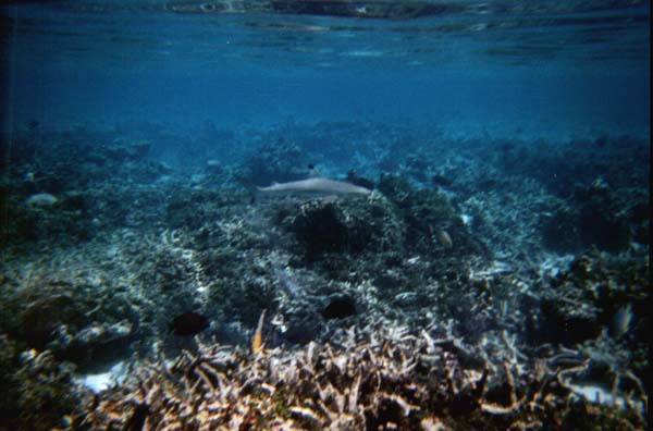 IHURU073.JPG