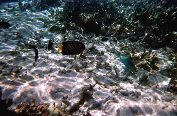 IHURU074.JPG