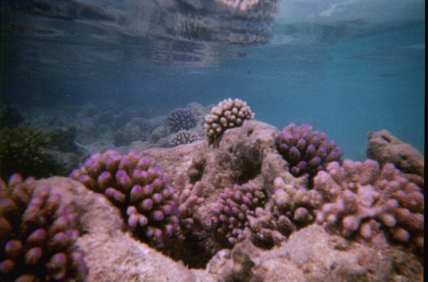 IHURU075.JPG