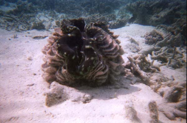 IHURU076.JPG