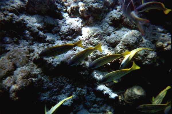 IHURU077.JPG