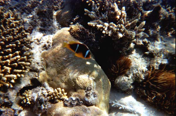 IHURU078.JPG