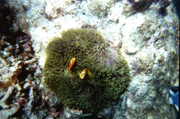 IHURU079.JPG