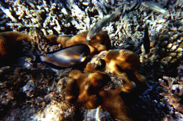 IHURU080.JPG