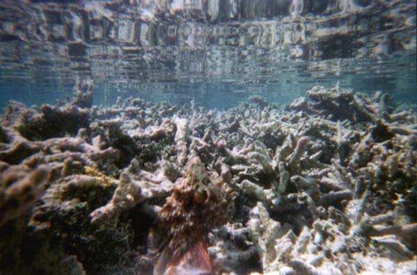 IHURU082.JPG
