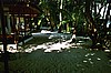IHURU016.JPG