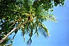 IHURU019.JPG